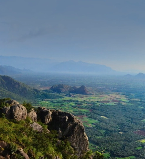 Eletaria - Spice Trails Unlimited, Vandenmedu, Thekkady, Idukki