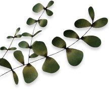 Eletaria - Spice Trails Unlimited, Vandenmedu, Thekkady, Idukki