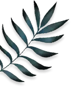 Eletaria - Spice Trails Unlimited, Vandenmedu, Thekkady, Idukki